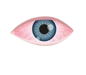 what-is-dry-eye-section.-only-dry-eye-image-e1692610699636-removebg-preview